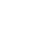 LINCS, INC.